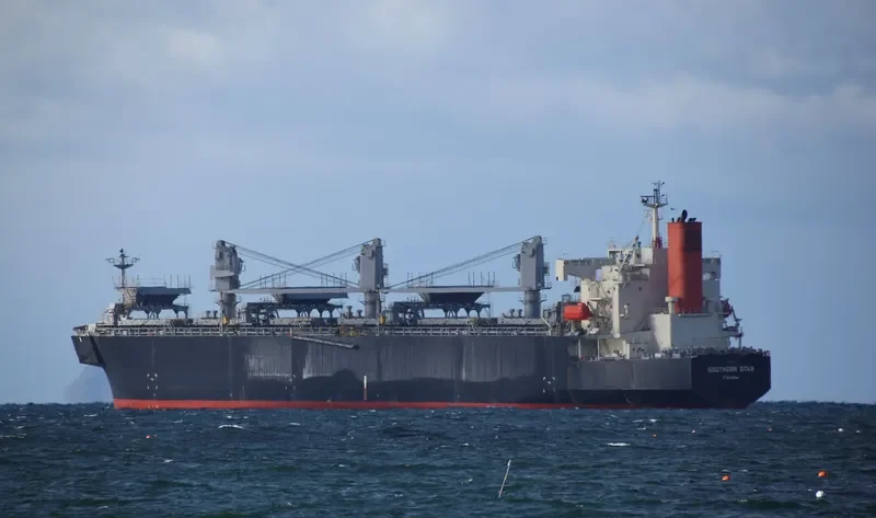 SOUTHERN STAR Bulk Carrier IMO 9344071 photo 3
