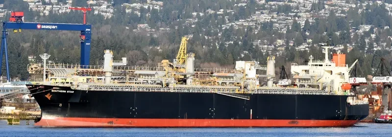 SOUTHERN STAR Bulk Carrier IMO 9344071 photo 8
