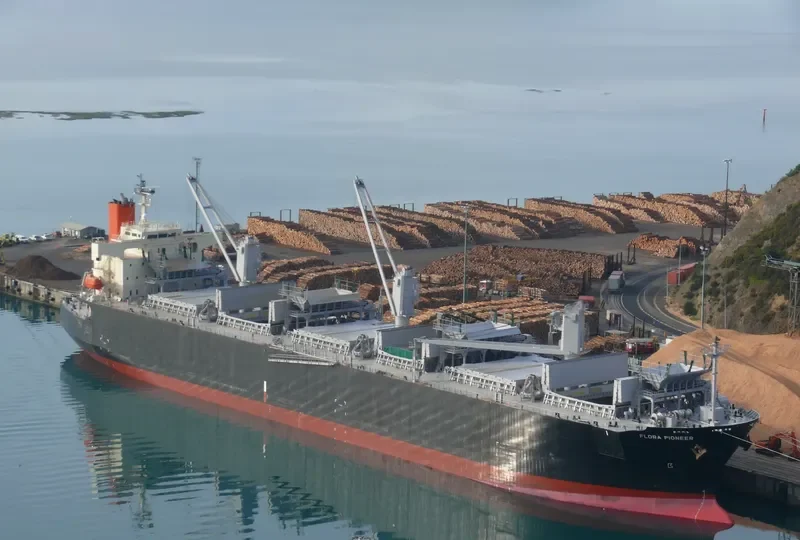 FLORA PIONEER Bulk Carrier IMO 9344083 photo 6