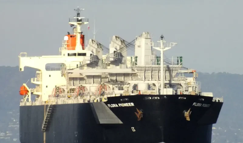 FLORA PIONEER Bulk Carrier IMO 9344083 photo 9