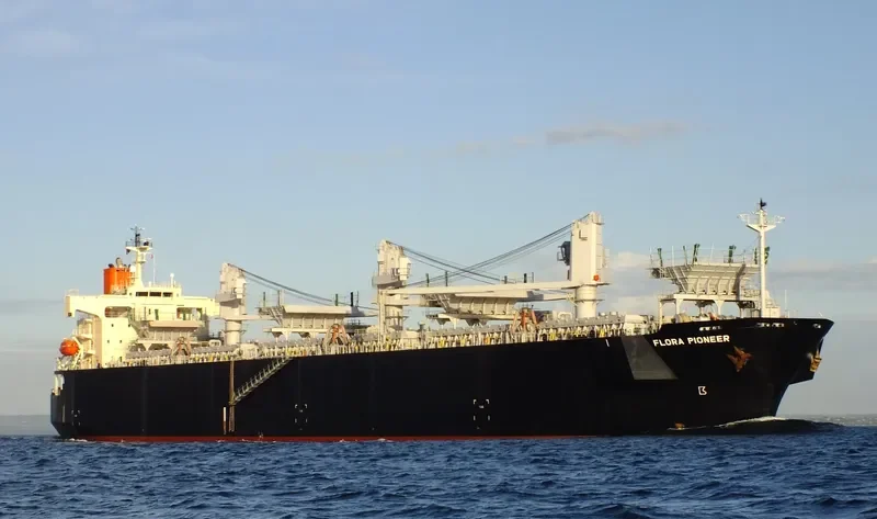 FLORA PIONEER Bulk Carrier IMO 9344083 photo 10