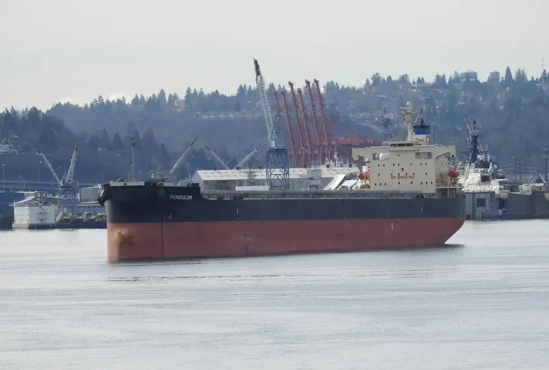 PENDULUM Bulk Carrier IMO 9344095