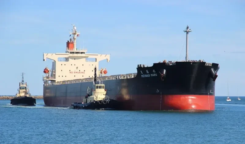 PENDULUM Bulk Carrier IMO 9344095 photo 6