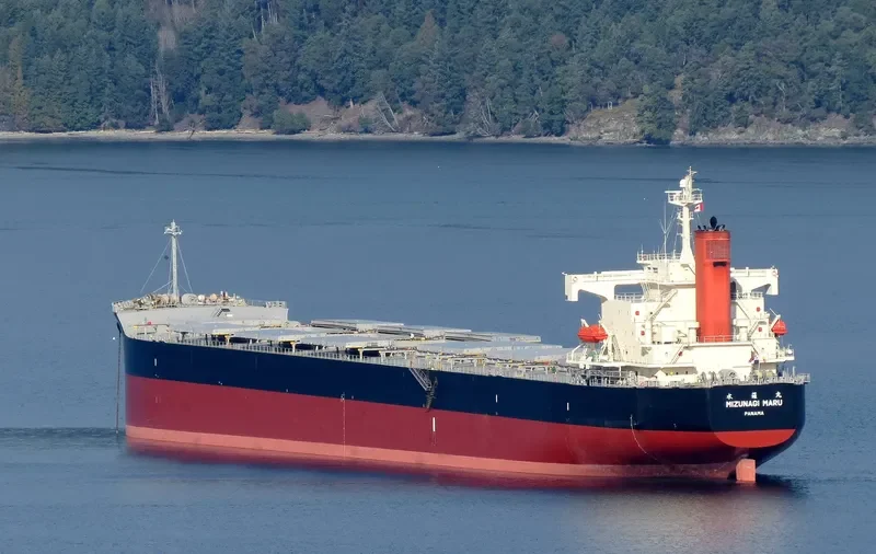 PENDULUM Bulk Carrier IMO 9344095 photo 9