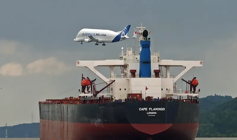 CAPE FLAMINGO Bulk Carrier IMO 9344289 photo 2
