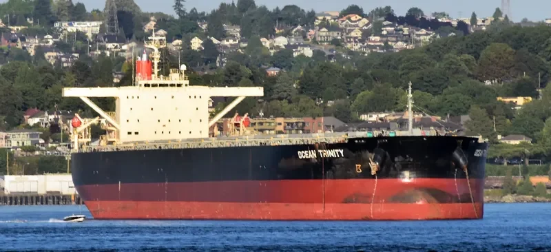 OCEAN TRINITY Bulk Carrier IMO 9344291 photo 2