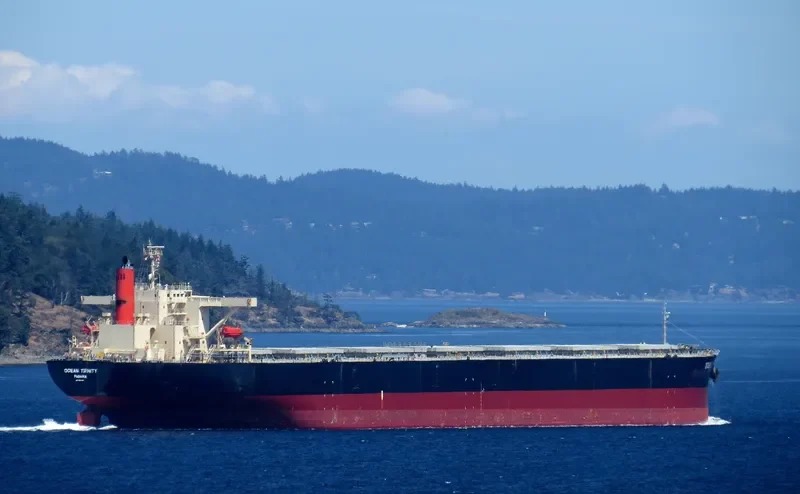 OCEAN TRINITY Bulk Carrier IMO 9344291 photo 5
