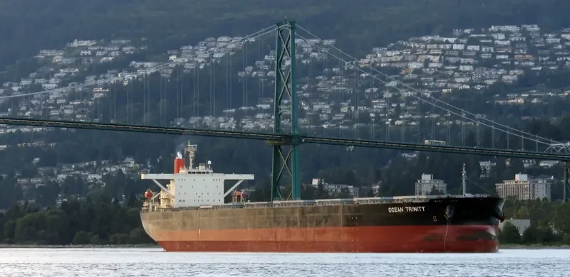 OCEAN TRINITY Bulk Carrier IMO 9344291 photo 8