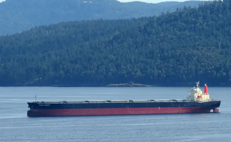 OCEAN TRINITY Bulk Carrier IMO 9344291 photo 9