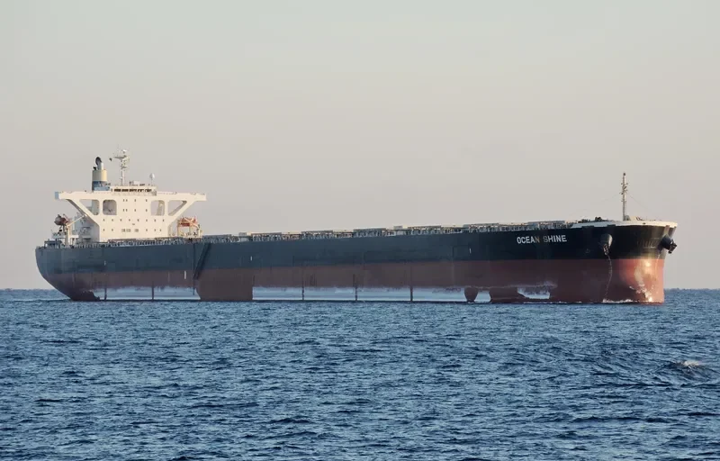 OCEAN SHINE Bulk Carrier IMO 9344306