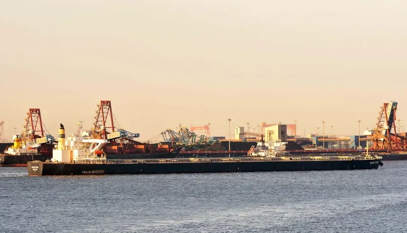 OCEAN SHINE Bulk Carrier IMO 9344306 photo 2