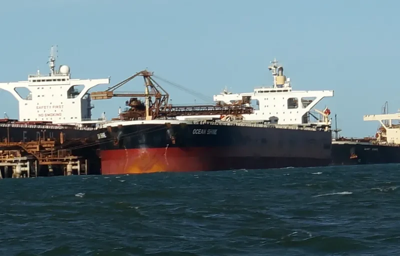 OCEAN SHINE Bulk Carrier IMO 9344306 photo 4