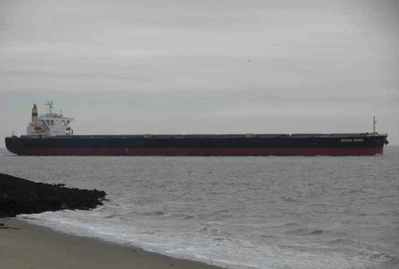 OCEAN SHINE Bulk Carrier IMO 9344306 photo 5