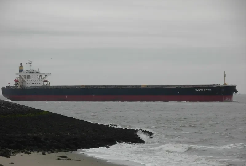 OCEAN SHINE Bulk Carrier IMO 9344306 photo 6
