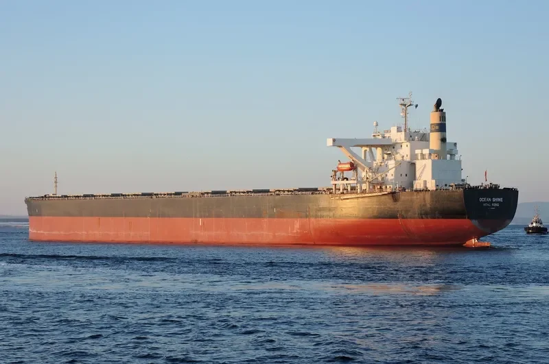 OCEAN SHINE Bulk Carrier IMO 9344306 photo 7