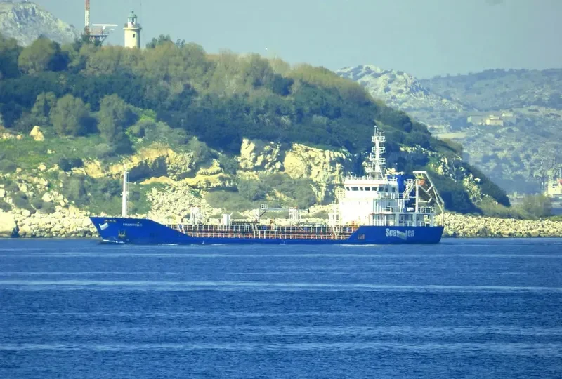 EVIAPETROL II Tanker IMO 9344356 photo 10