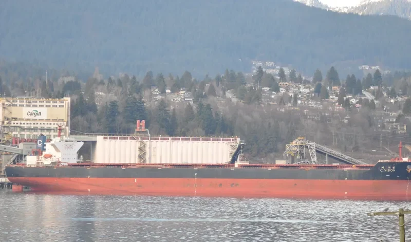 C.VISION Bulk Carrier IMO 9344473 photo 5