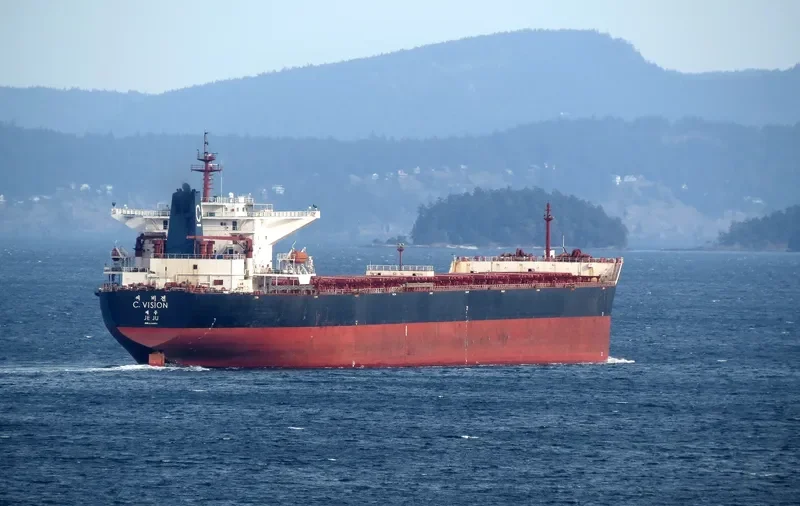 C.VISION Bulk Carrier IMO 9344473 photo 8