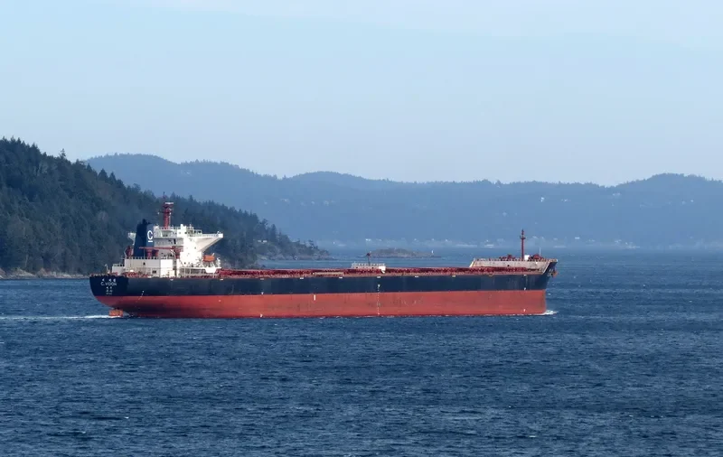 C.VISION Bulk Carrier IMO 9344473 photo 9