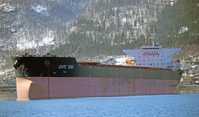 CAPE VENI Bulk Carrier IMO 9344485 photo 14