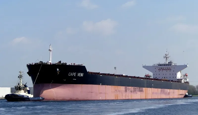 CAPE VENI Bulk Carrier IMO 9344485 photo 27
