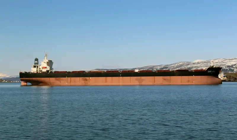 CAPE VENI Bulk Carrier IMO 9344485 photo 32