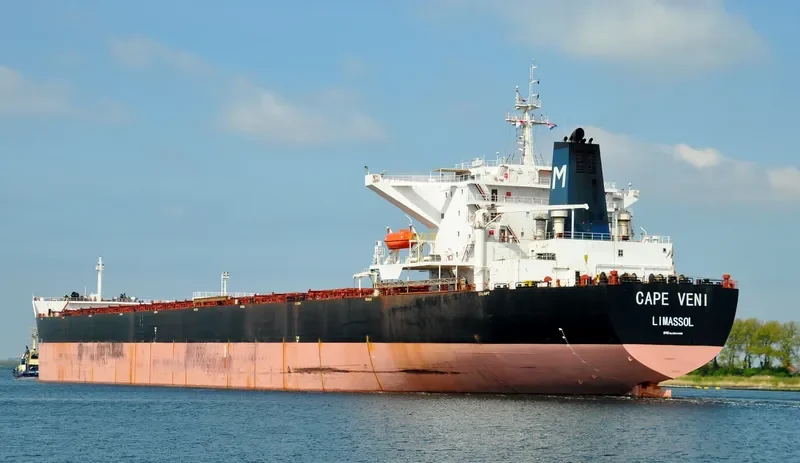 CAPE VENI Bulk Carrier IMO 9344485 photo 39