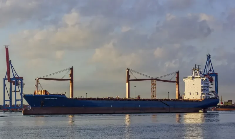 FAYSTON FARMS Container Ship IMO 9344552 photo 2