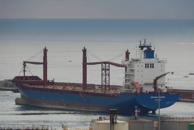 FAYSTON FARMS Container Ship IMO 9344552 photo 3