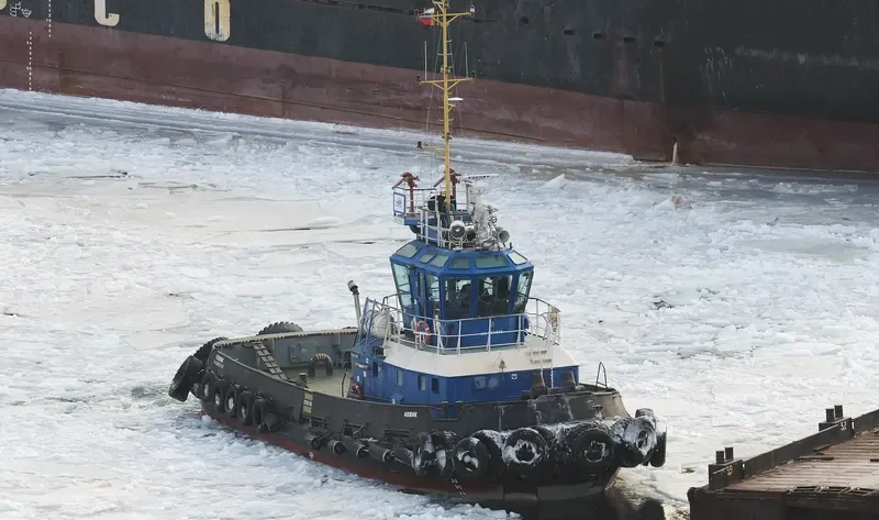NOVIK General Cargo IMO 9344605 photo 4