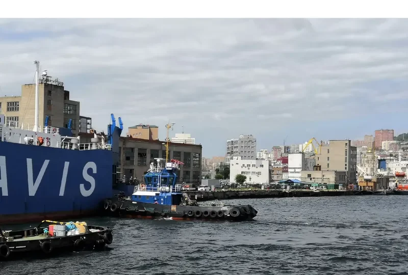 NOVIK General Cargo IMO 9344605 photo 7