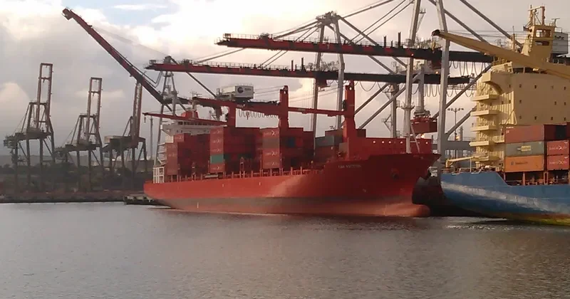 SAN ALFONSO Container Ship IMO 9344667 photo 8