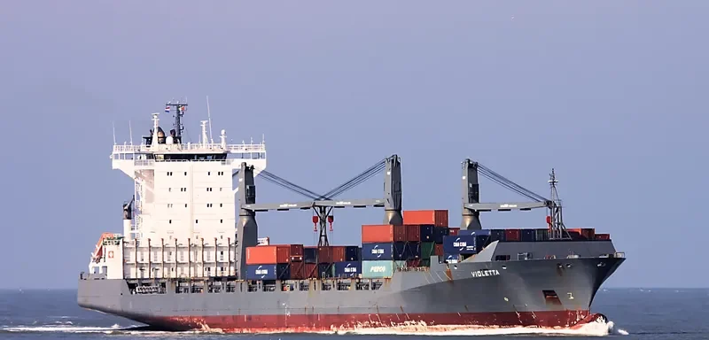 VIOLETTA Container Ship IMO 9344710