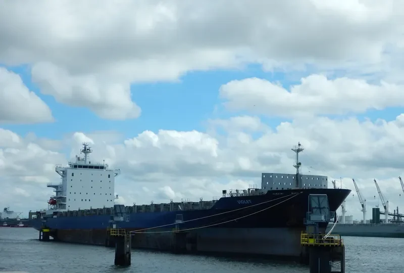 VIOLETTA Container Ship IMO 9344710 photo 3