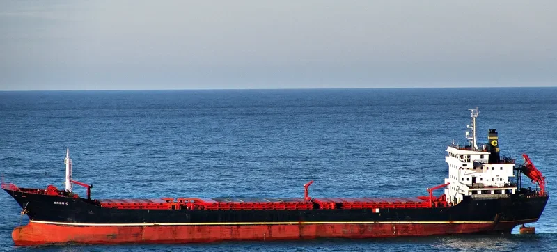MAXIMUS 1 General Cargo IMO 9344734 photo 5