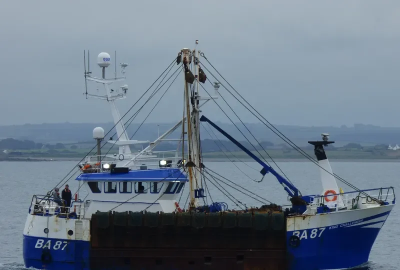 KING CHALLENGER General Cargo IMO 9345099 photo 2