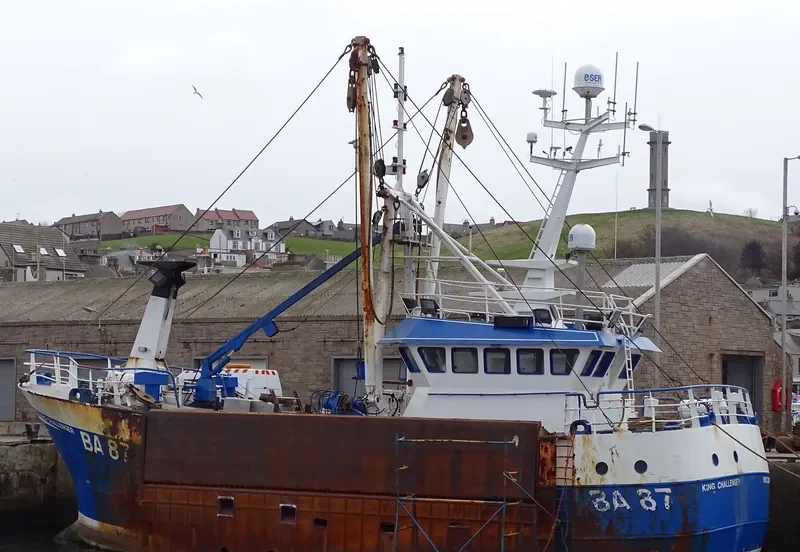 KING CHALLENGER General Cargo IMO 9345099 photo 5