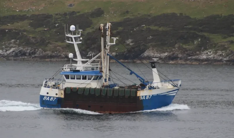 KING CHALLENGER General Cargo IMO 9345099 photo 9