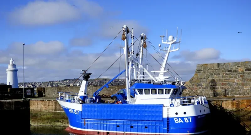 KING CHALLENGER General Cargo IMO 9345099 photo 10
