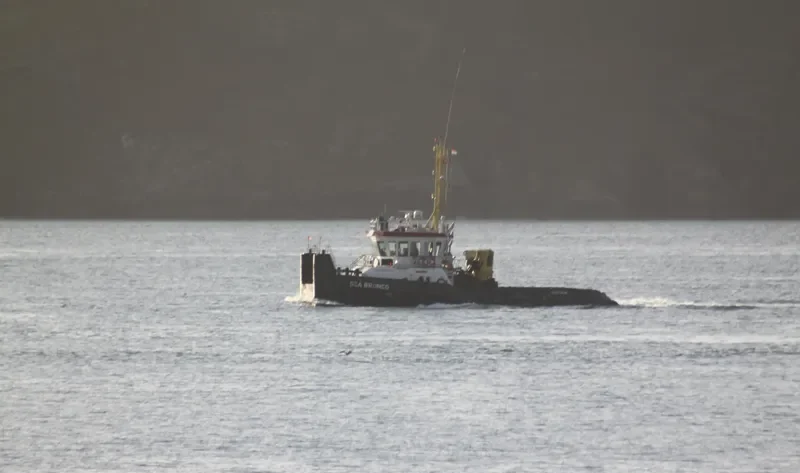 SEA BRONCO General Cargo IMO 9345491 photo 6