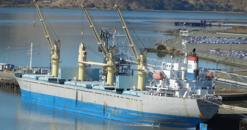 CSE CLIPPER EXPRESS Bulk Carrier IMO 9345635 photo 6