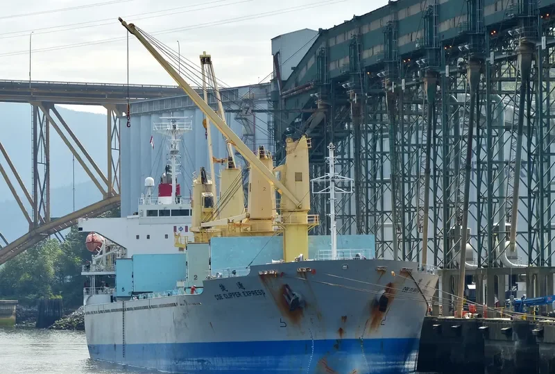 CSE CLIPPER EXPRESS Bulk Carrier IMO 9345635 photo 8