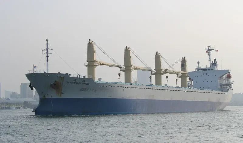 CSE PROSPERITY EXPRESS Bulk Carrier IMO 9345647 photo 7