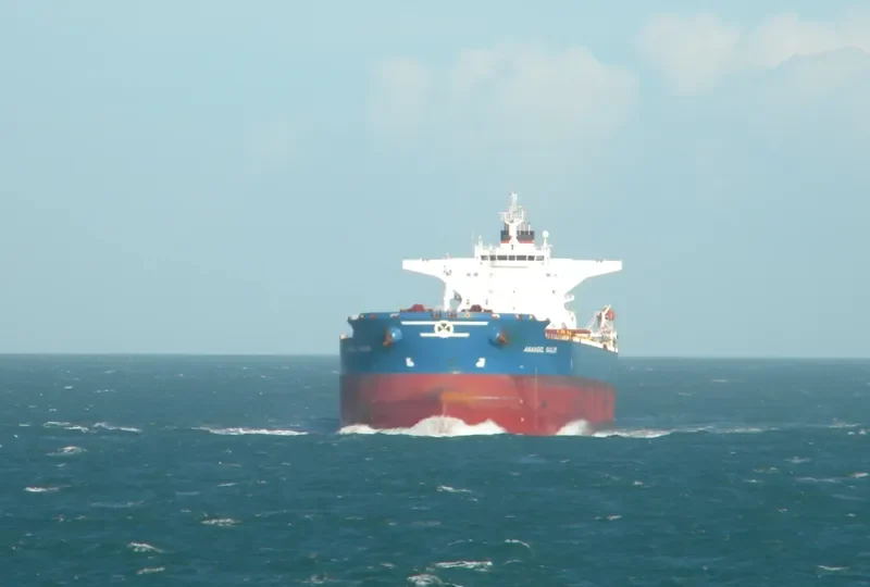 MARAN SAILOR Bulk Carrier IMO 9345764 photo 3