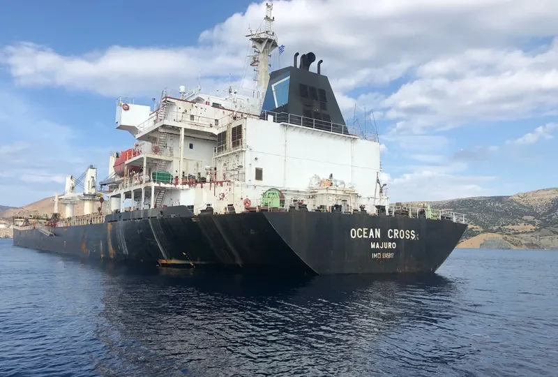 OCEAN CROSS Bulk Carrier IMO 9345817 photo 10