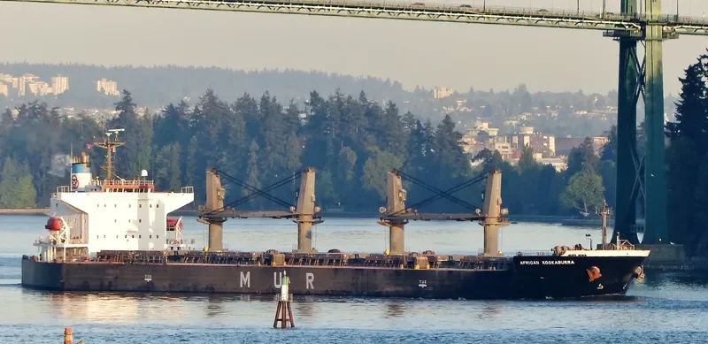 LUMOSO BERKAT Bulk Carrier IMO 9346055