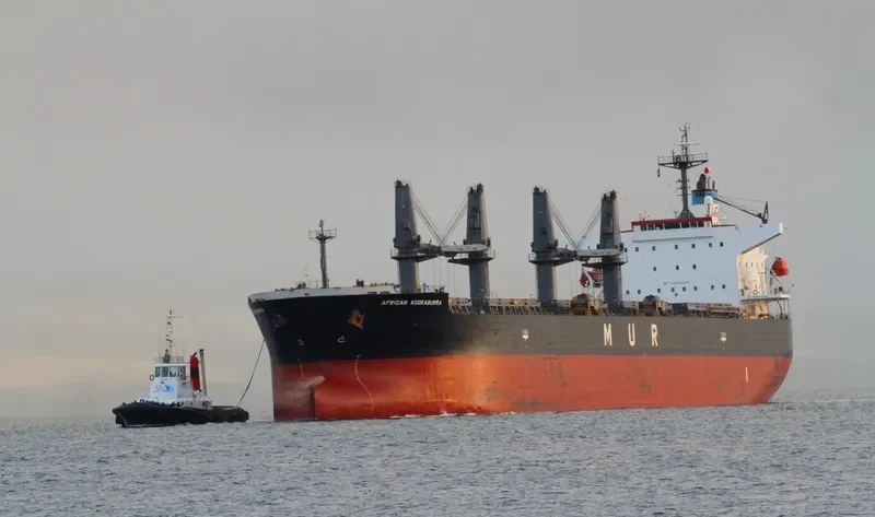 LUMOSO BERKAT Bulk Carrier IMO 9346055 photo 3