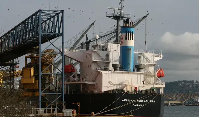 LUMOSO BERKAT Bulk Carrier IMO 9346055 photo 6