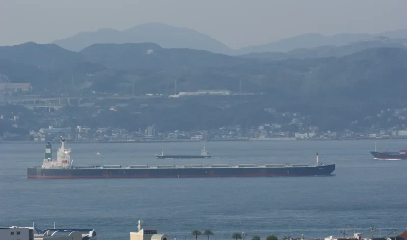 WINNING UNIVERSE Bulk Carrier IMO 9346172 photo 4