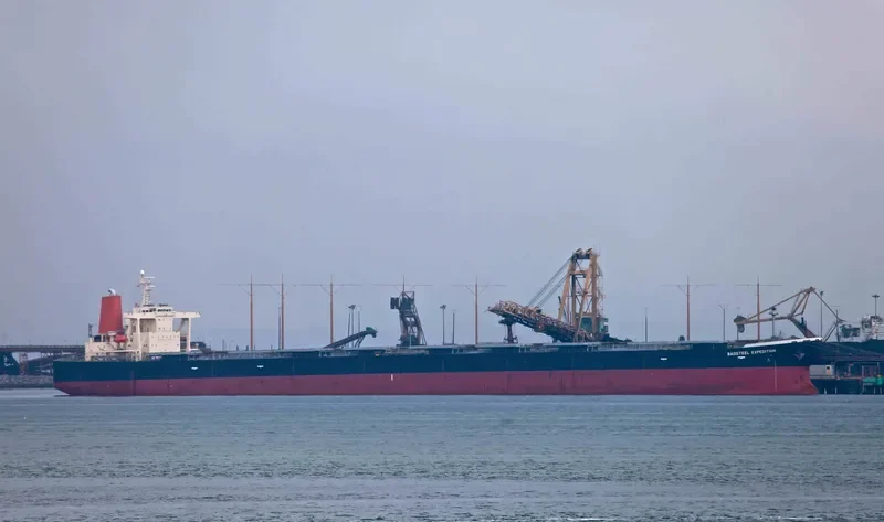 BAOSTEEL EXPEDITION Bulk Carrier IMO 9346184 photo 3
